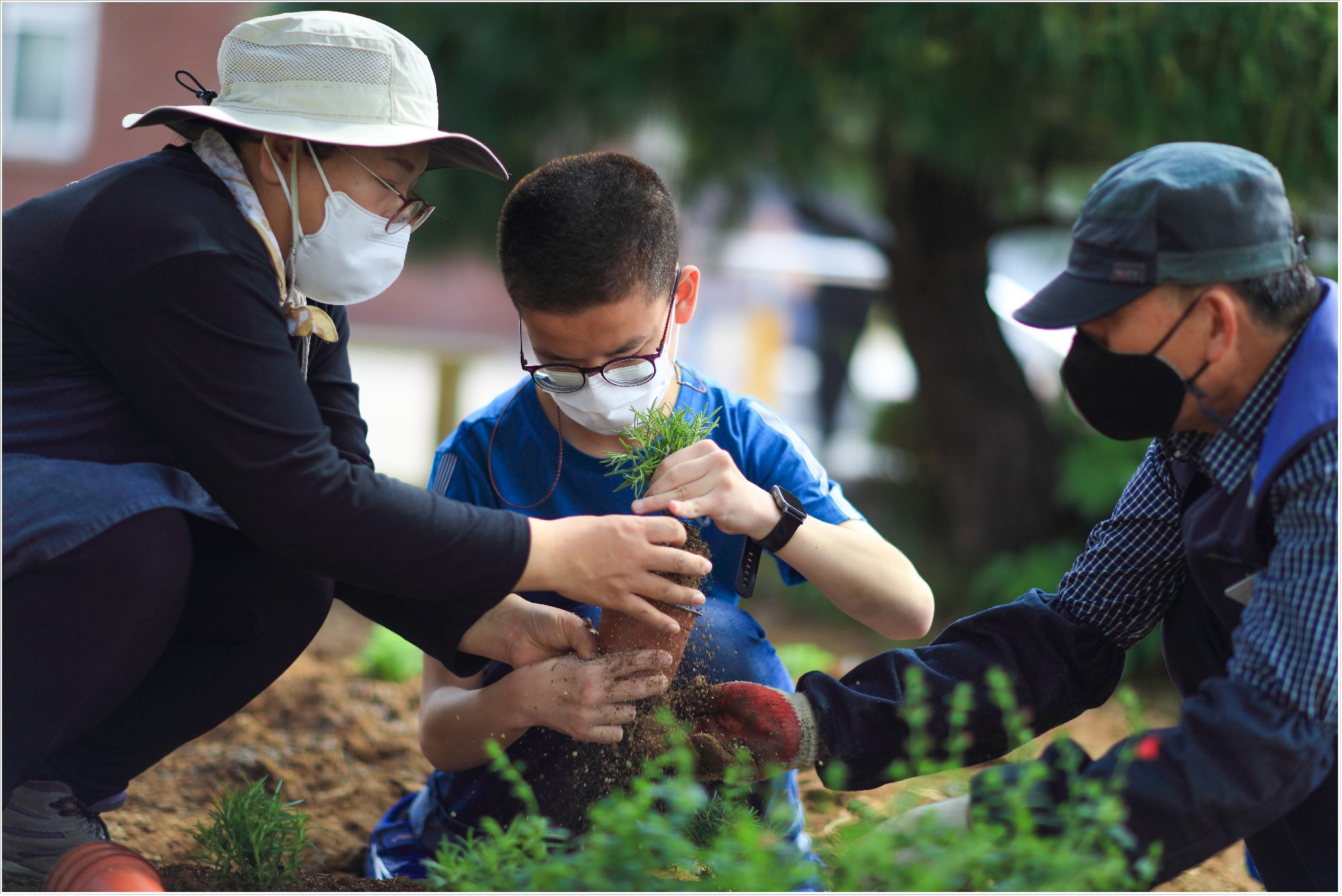 경기도 안산시에 위치한 한국선진학교의 학생들이 3일 현대위아가 조성한 학교 내 텃밭에서 식물을 가꾸고 있다. 현대위아는 한국선진학교를 ‘현대위아 초록학교’로 선정해 ‘희귀식물 정원’, ‘온실 텃밭’, ‘포켓 정원’ 등을 만들었다.